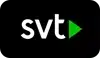 iptv smarters firestick